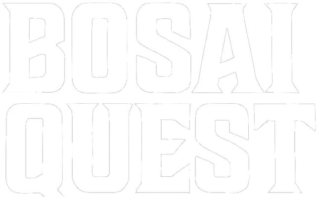 BOSAI QUEST
